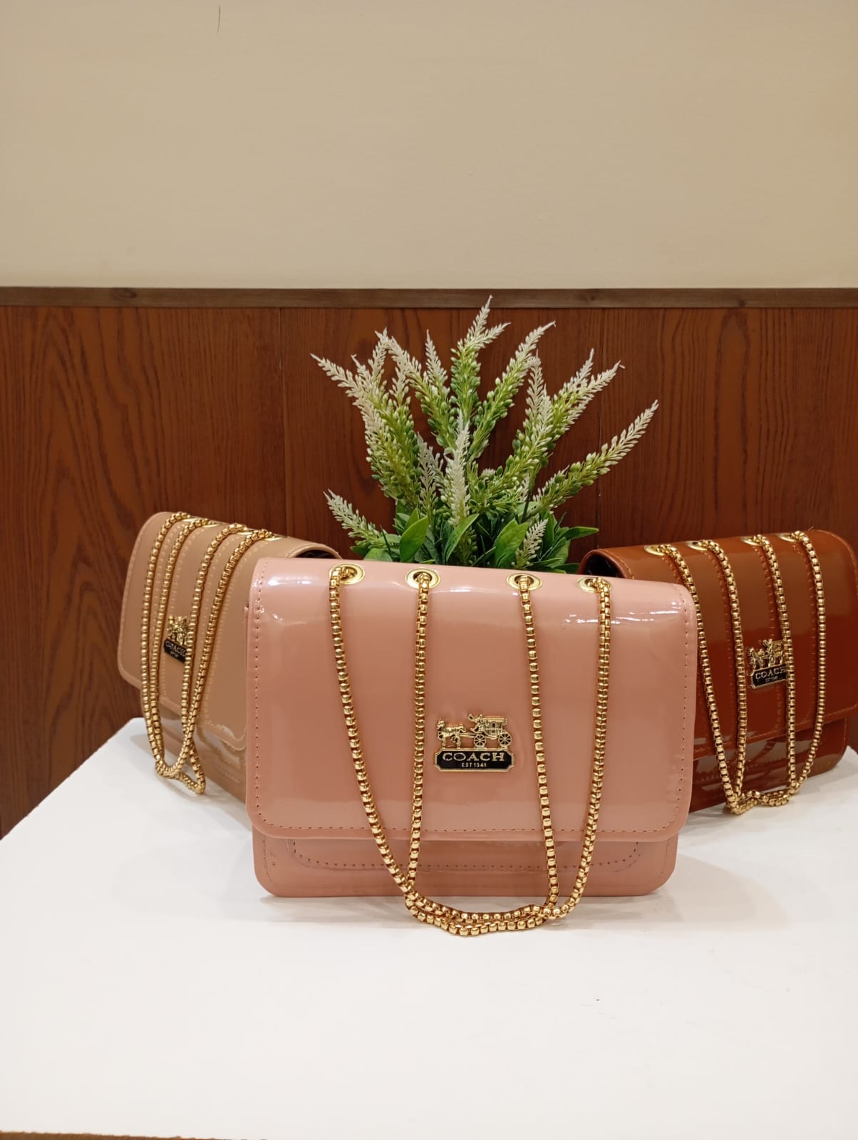 New arrival coach design