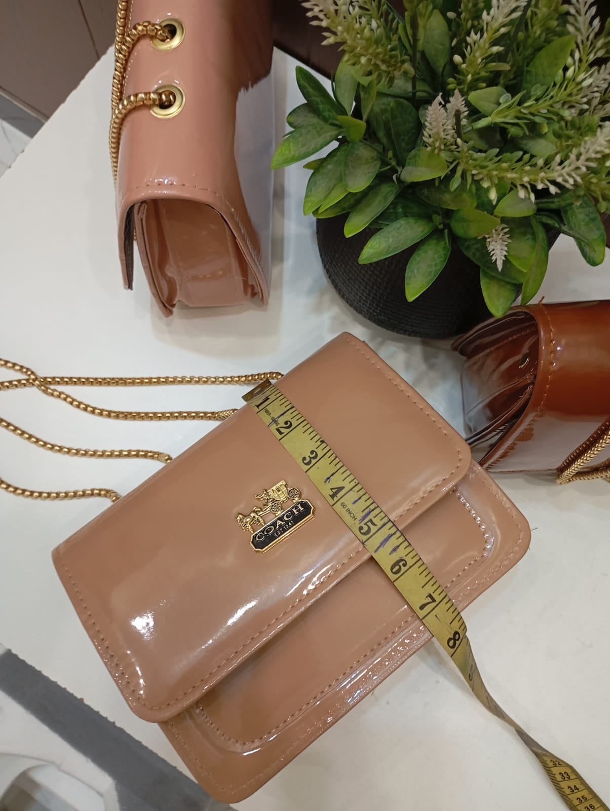 New arrival coach design