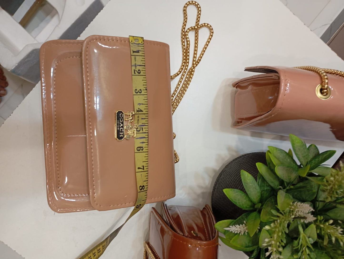 New arrival coach design