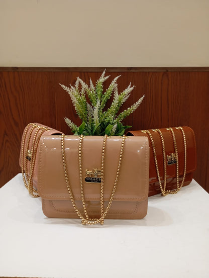 New arrival coach design