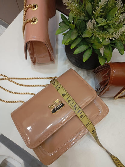 New arrival coach design